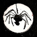 Spider enamel miniature painting on copper — black spider on a white enamel disc close up