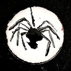 Spider enamel miniature painting on copper — black spider on a white enamel disc close up