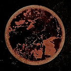 Reverse of the Spider copper miniature showing raw copper and dark enamel firing marks