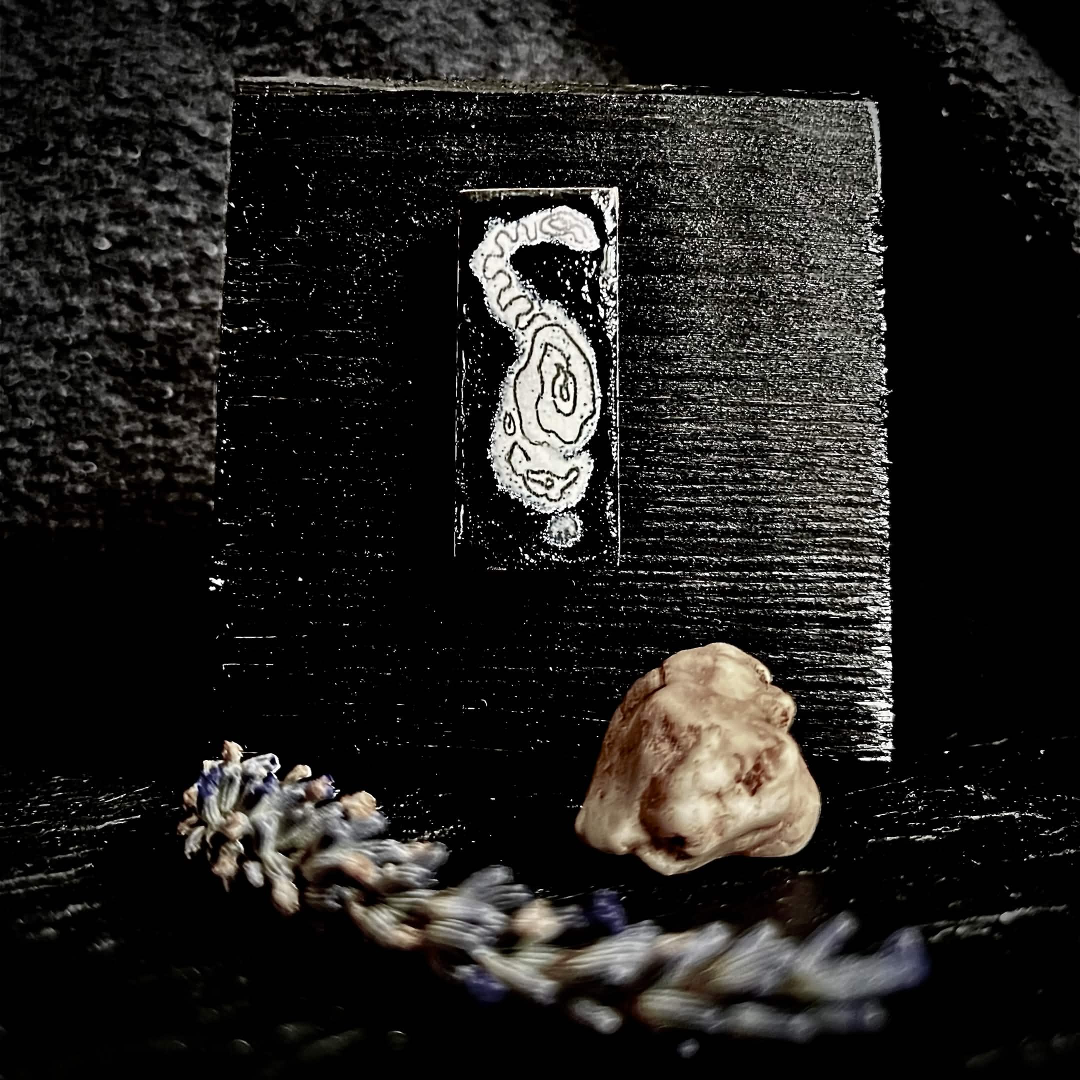 Display shot — Micro Cat enamel miniature mounted on black wood stand, styled with dried lavender and a stone, House Zoo series by A. Fraction, Vilnius