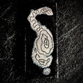 Front face — Micro Cat, vitreous enamel on copper, white cat form floating in black void, wet packing and pencil drawing, 40×16mm, House Zoo series by A. Fraction