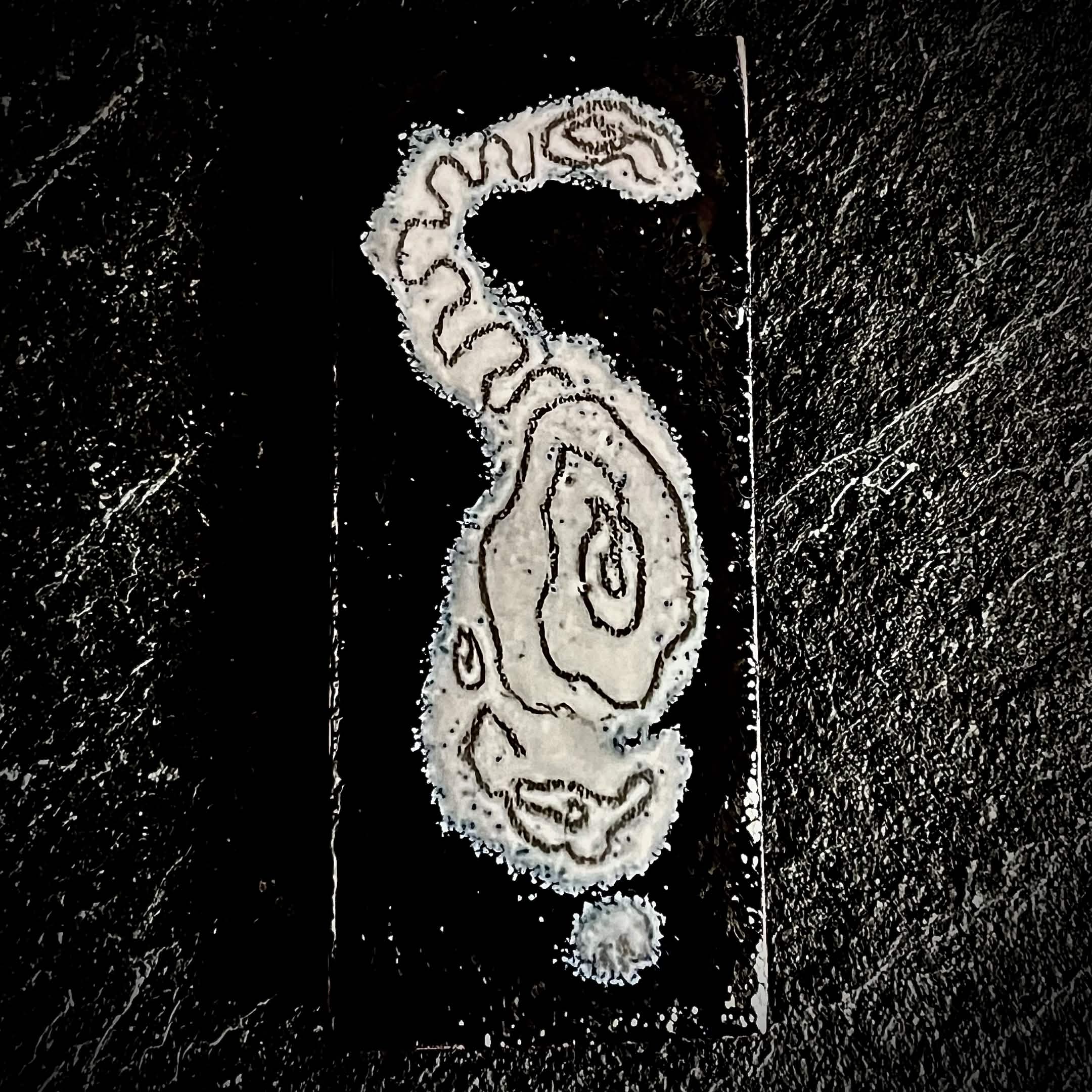 Front face — Micro Cat, vitreous enamel on copper, white cat form floating in black void, wet packing and pencil drawing, 40×16mm, House Zoo series by A. Fraction