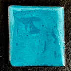 The Wild Within, House Zoo — The Wild We Live With. Reverse side - turquoise contra enamel on copper with organic fired texture and depth. A. Fraction.