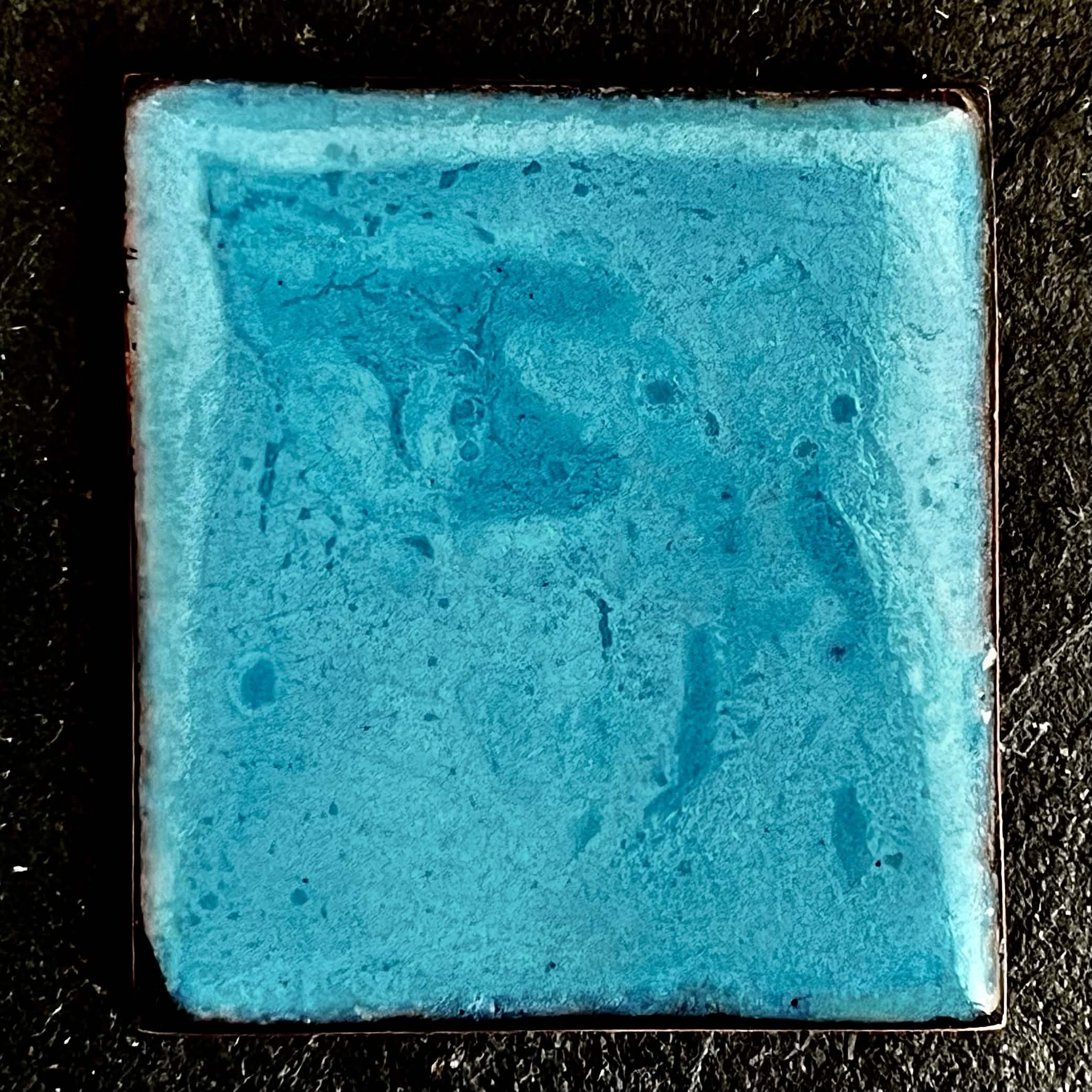 The Wild Within, House Zoo — The Wild We Live With. Reverse side - turquoise contra enamel on copper with organic fired texture and depth. A. Fraction.